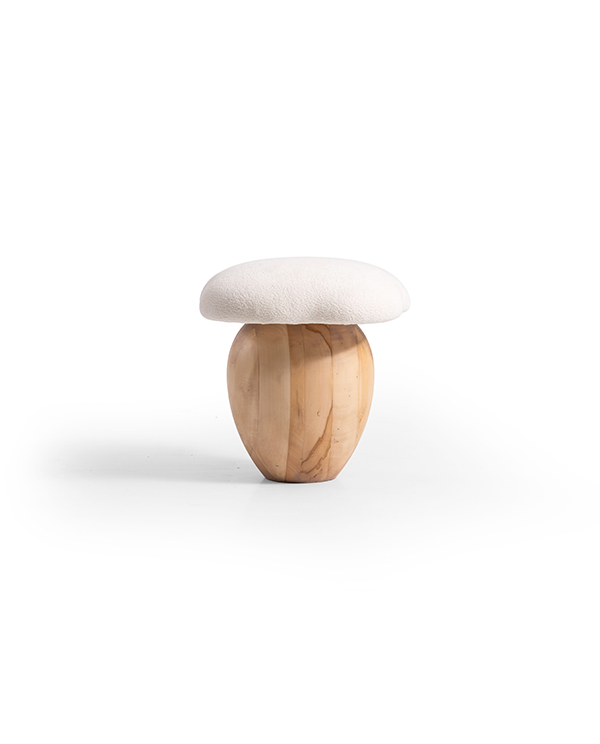 mush puf_0005__DSC0429